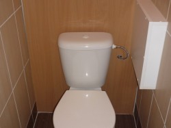 17313