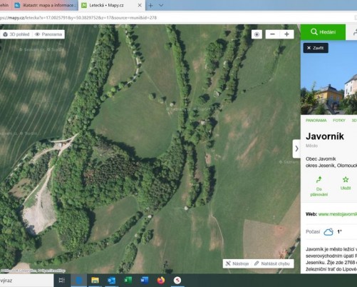 Prodej 2 lesních pozemků, 36555m² - Javorník