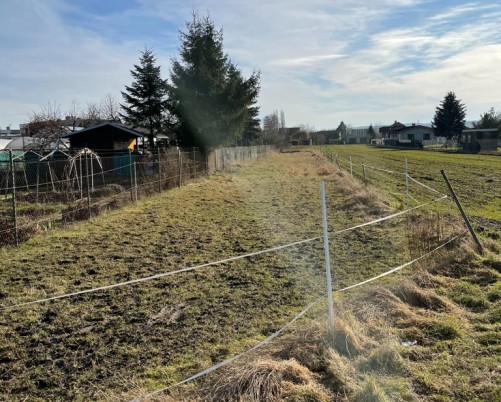 Prodej pozemku 1715m² - Kojetín, vhodný pro bydlení, zahradu, sad...